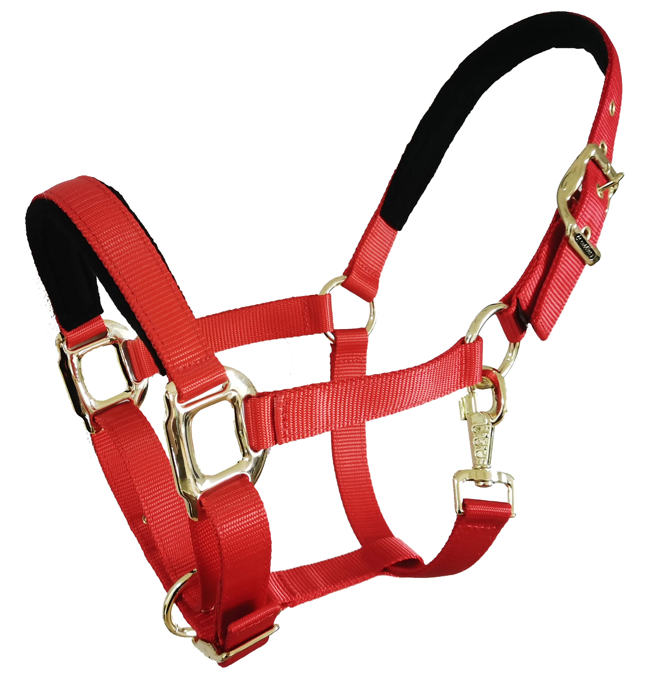 Webbing Horse Halter Fleece Padded Adjustable Soft Noseband and Crown Gentle Control for Training and Grooming