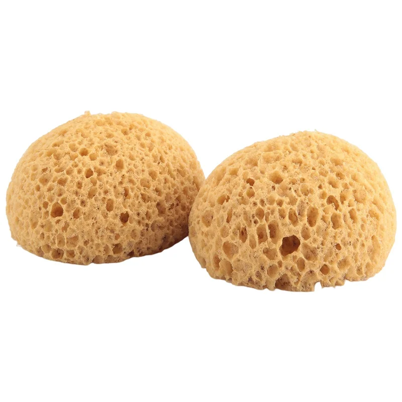 

24Pcs Texture Sponge Drywall Texture Sponge Texture Patch Sponge For Texture Repair DIY Painting Ceiling (12 X 9 X 7Cm)-L94A