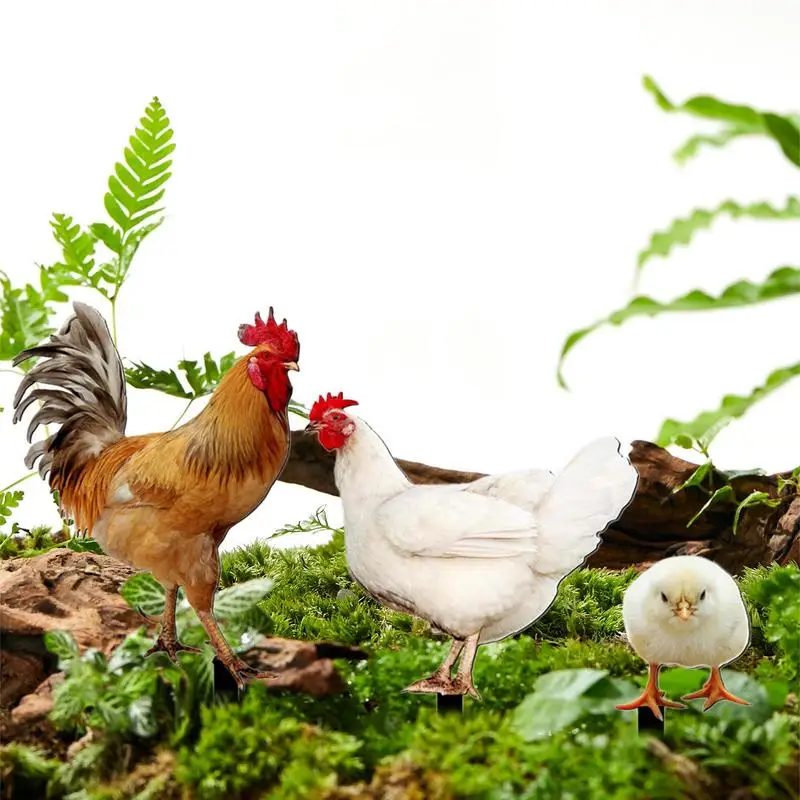 Dekorasi seni halaman ayam, ornamen patung akrilik keluarga ayam, Aksesori dekorasi halaman luar ruangan taman rumput