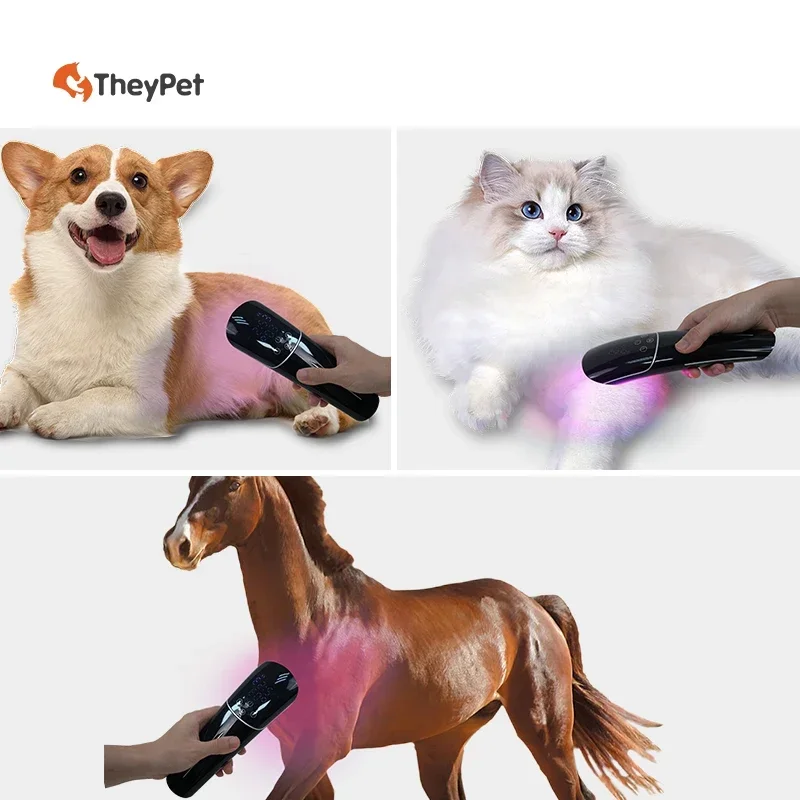 2026/Handheld Black LED  Therapeutic Instrument for Cats and Dogs Low-Profile Classic Design with Disinfection Propertie