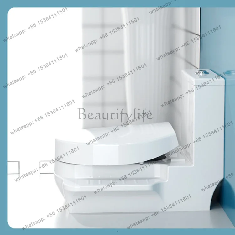 Squatting dual-purpose toilet deodorant toilet two-in-one squatting one