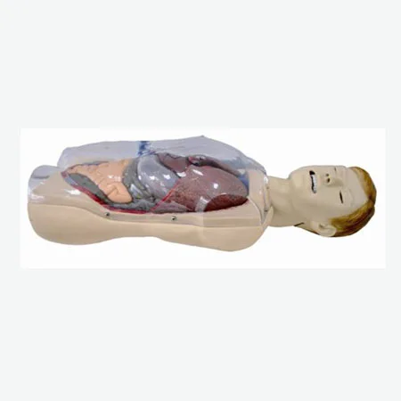 Sengstaken-Blakemore Tube Training Simulator Manikin Model