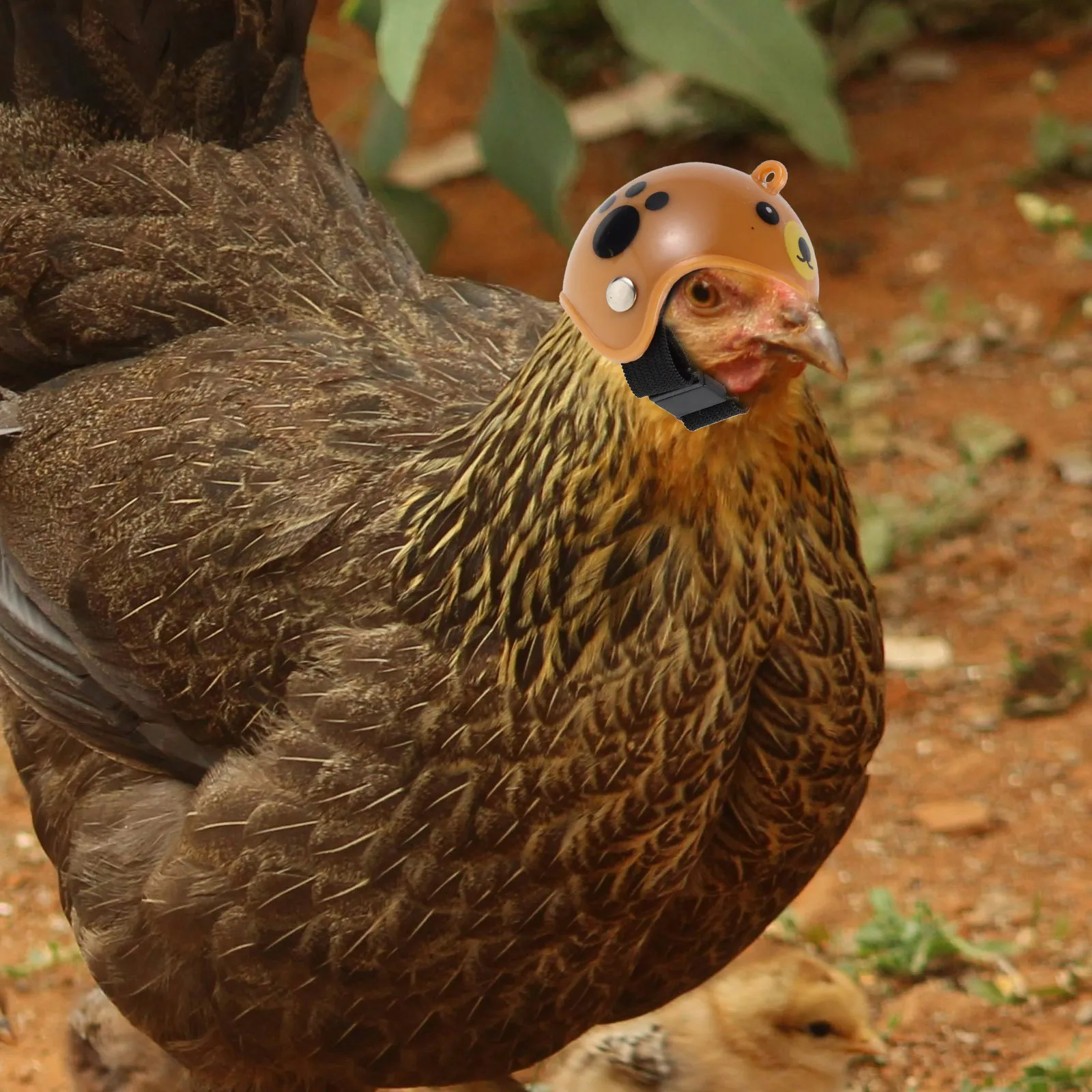 

4Pcs Chicken Hat Pet Protective Cap Weatherproof Easy Identification for Hens Parrots Small Pets Assorted Colors