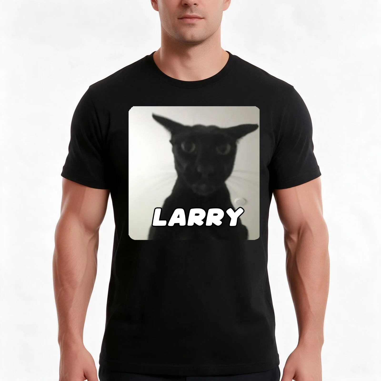 Evil Larry Cat T-Shirt, Summer Casual Cotton Tee, Oversized Streetwear Tops, Vintage Graphic Print, Loose Fit Short Sleeve