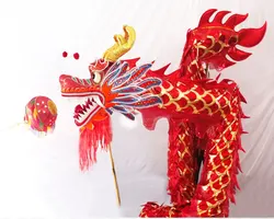 Disfraz de baile de dragón dorado para niños, 7m, tamaño 5, 6 jugadores, fiesta de Halloween, desfile de Navidad, escenario folclórico, primavera China