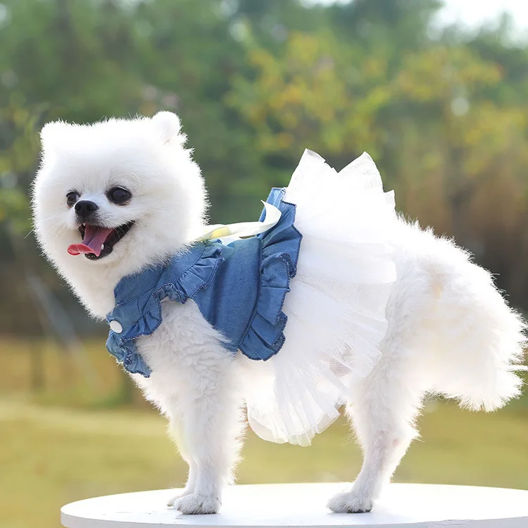 Pet Dress for Dog Small Pomeranian Girl and Boy Dress for Cat Small Dog Puppy Chihuahua Luxury Fashion Puppy Clothes Pet Product