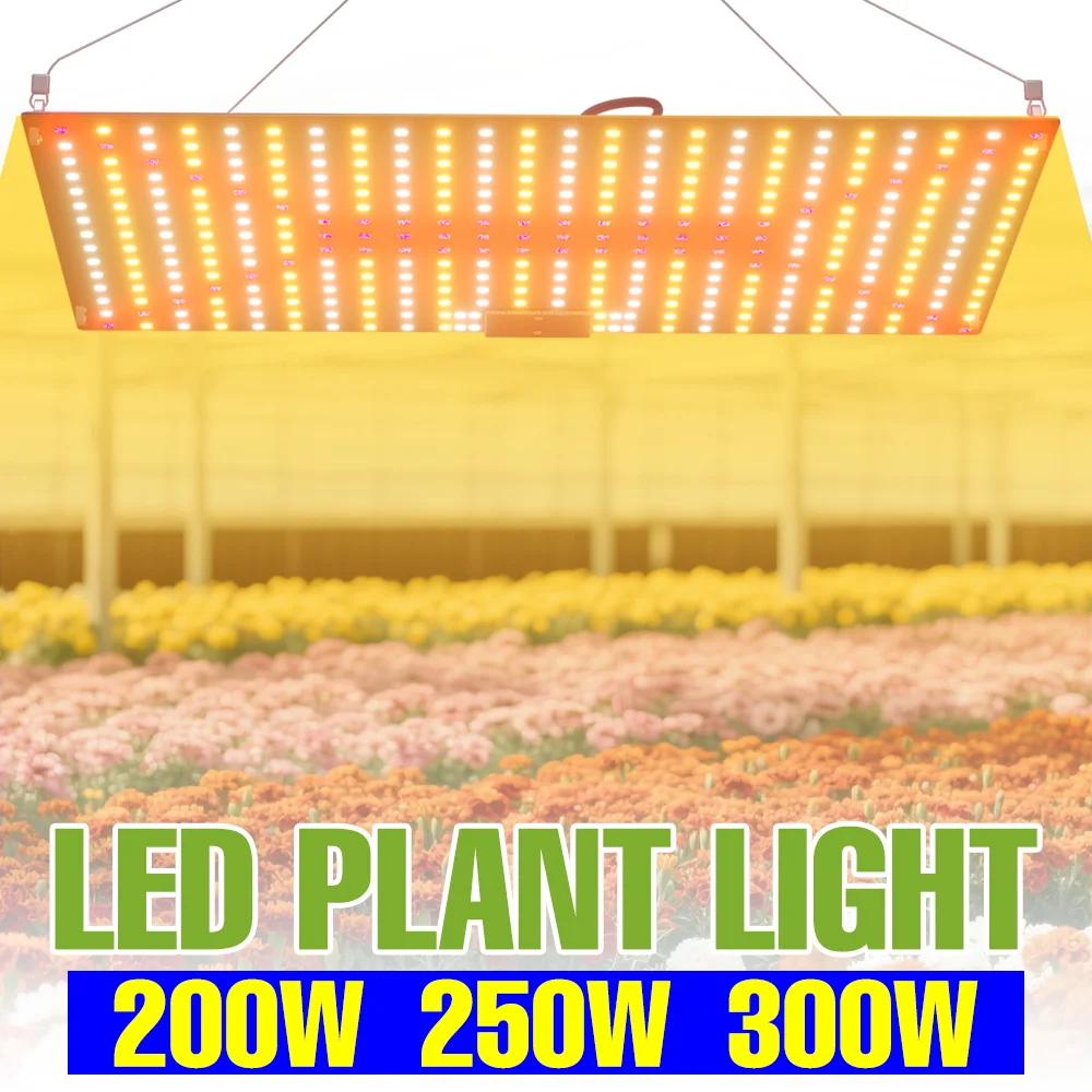 

300W LED Quantum Board Plant Grow Light Full Spectrum Hydroponics Fill Lamp UV/IR Greenhouse Tent Vegs Fruit Succulent Lighting