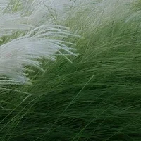 1/10 Rc Aluminum M-… - image