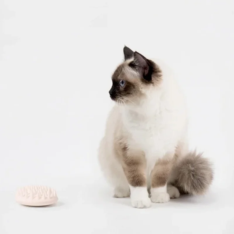 Siliconen massageborstel voor kattenverzorging en haarverwijdering_voghion.com