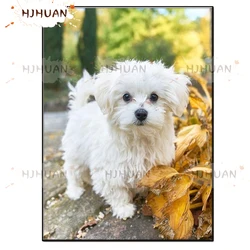 DIY 5D Animal art, maltese dog Diamond Painting Cross Stitch Kits Full Embroidery Mosaic Art Picture of Rhinestones home Decor