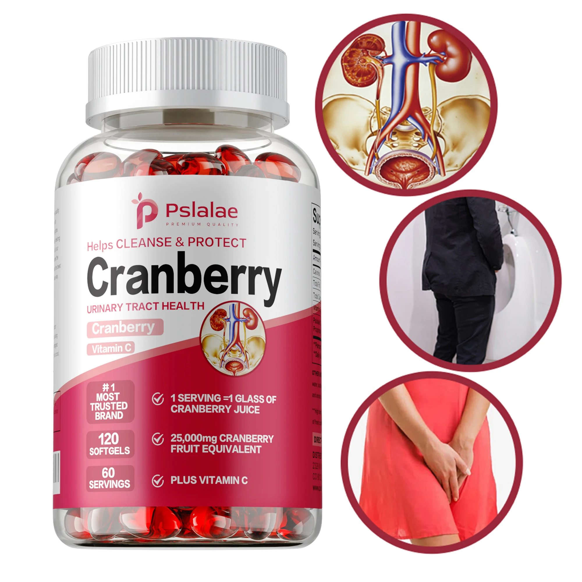 Arándano - Rico en vitamina C, potente antioxidante, apoya la salud del sistema urinario, la salud de la vejiga - 120 cápsulas