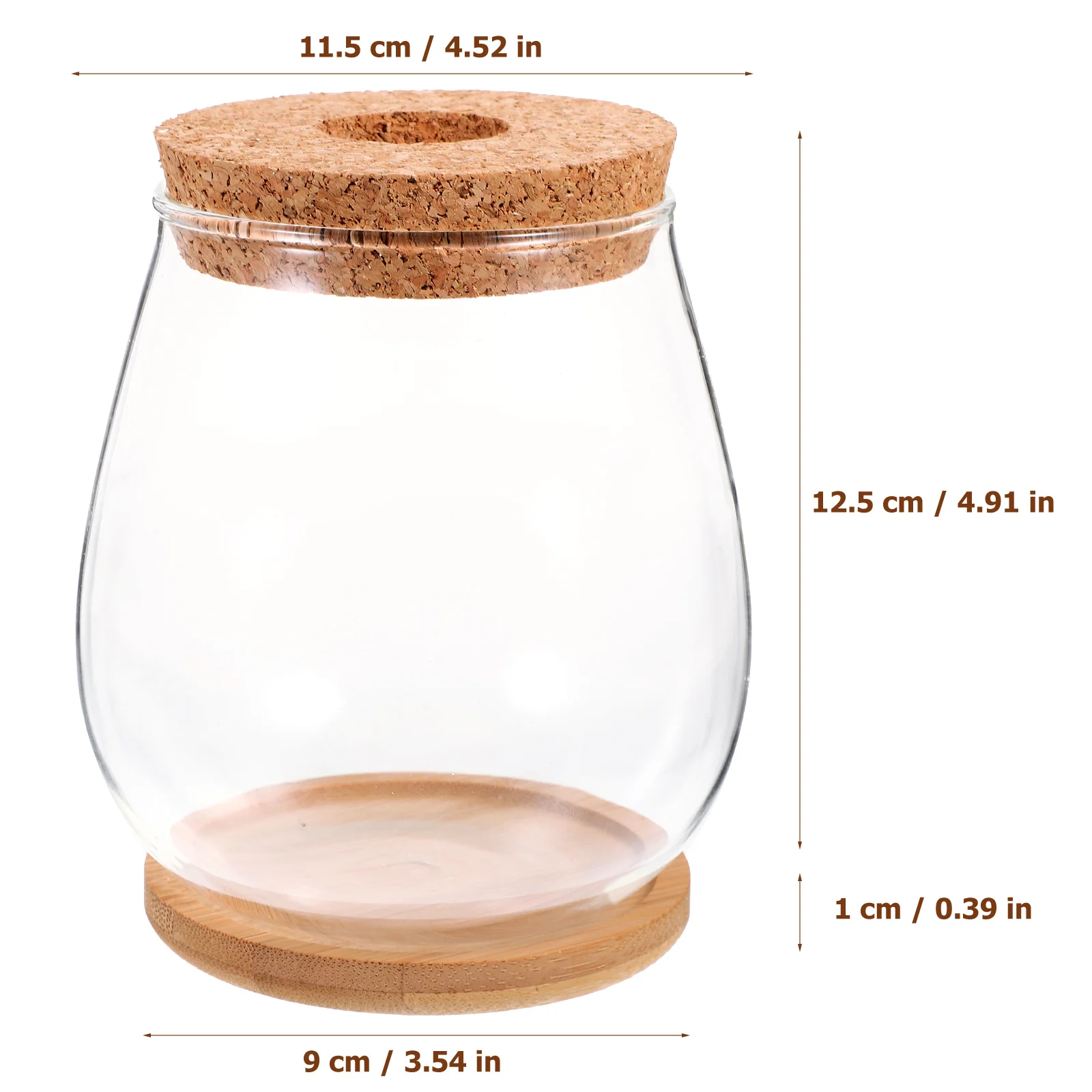 Hydroponic Glass Vase DIY Ecological Bottle Terrarium with Lid Simple Desktop Decoration Pots for Plants Landscape Container