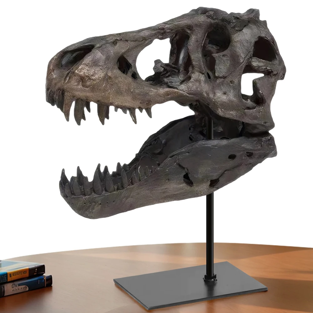 Figura de Tiranosaurio Rex con Soporte, Réplica de Cráneo, Esculturas de Cabeza, Regalo para Niños y Adultos