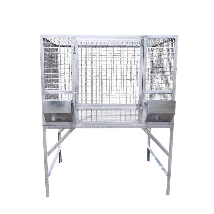 AIROW High Quality Custom Dog Kennel Large Outdoor Activity Dog Cage Galvanized Dog Kennel Luxury Iron Silver Paper Carton