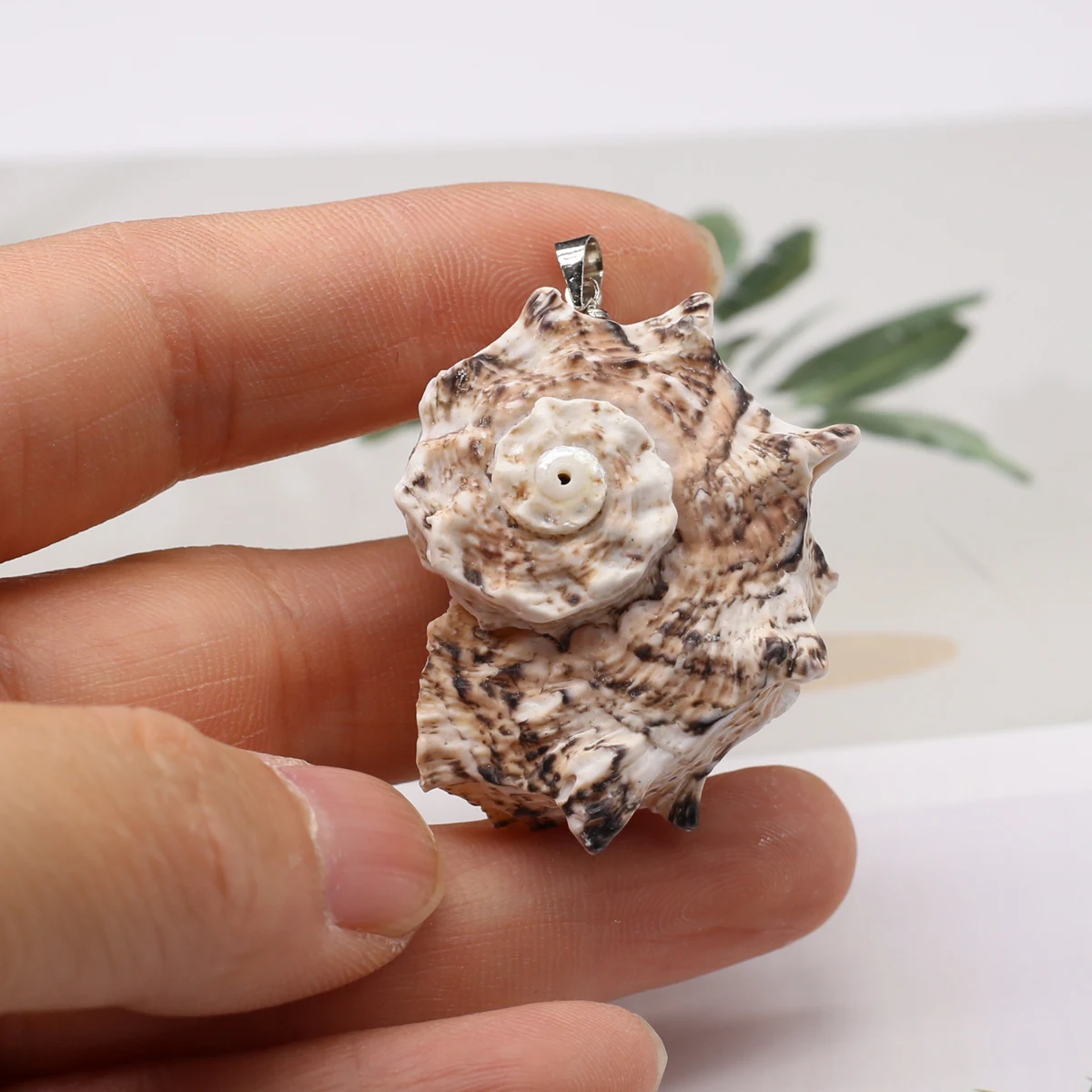 20-40mm Bohe Stil Anhänger Unregelmäßig Geformte Natürliche Shell Charms für Schmuck Machen DIY Halskette Ohrringe Zubehör Großhandel