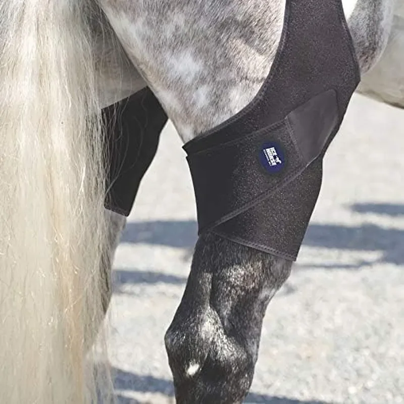 Pair of Stifle Wraps for Equine Therapy Comes with 4 Ice Packs