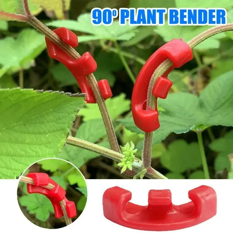 50/100 stücke 90 Grad Pflanzen bieger Trainer Wachstums manipulation Tutoren für Pflanzen clips Biegen von Zweig klemmen Branchen zubehör