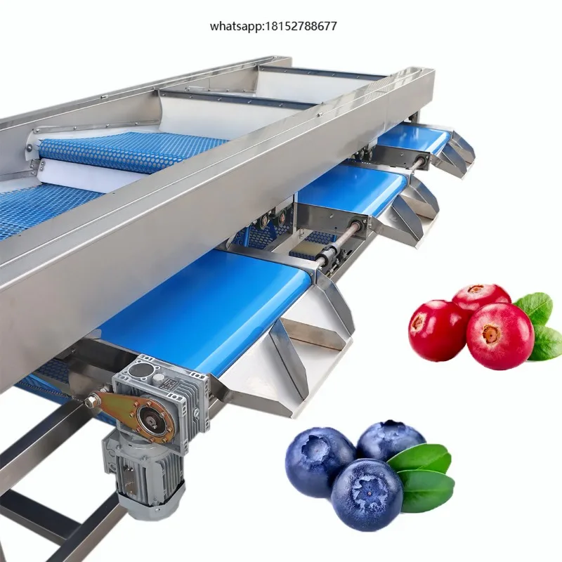 Fruit Vegetable Grading Machine-High Efficiency 3-Grade Sorter