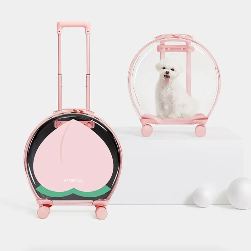 High Appearance Transport Crate Transparent Visual Cat Basket Portable For Outdoor Trolley Box Large Capacity Space Capsule