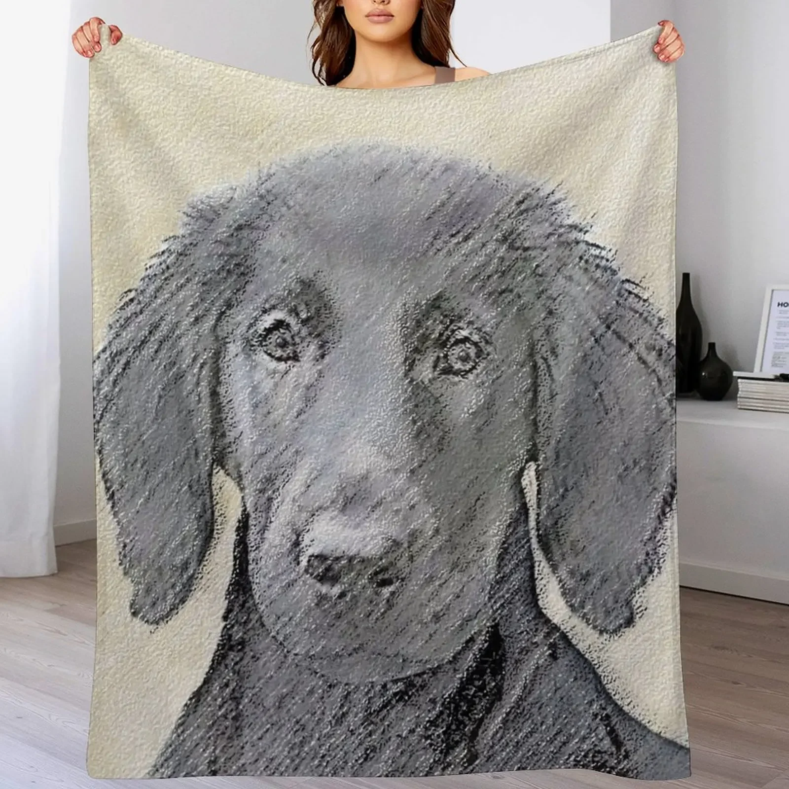 Flat-Coated Retriever Throw Blanket Blankets For Sofas Picnic Decorative Throw Blankets