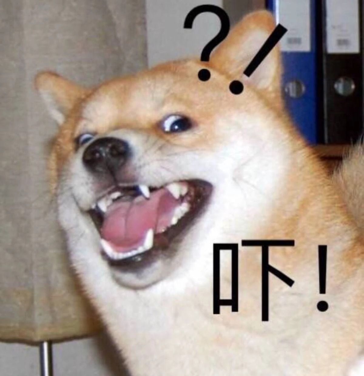 No image
