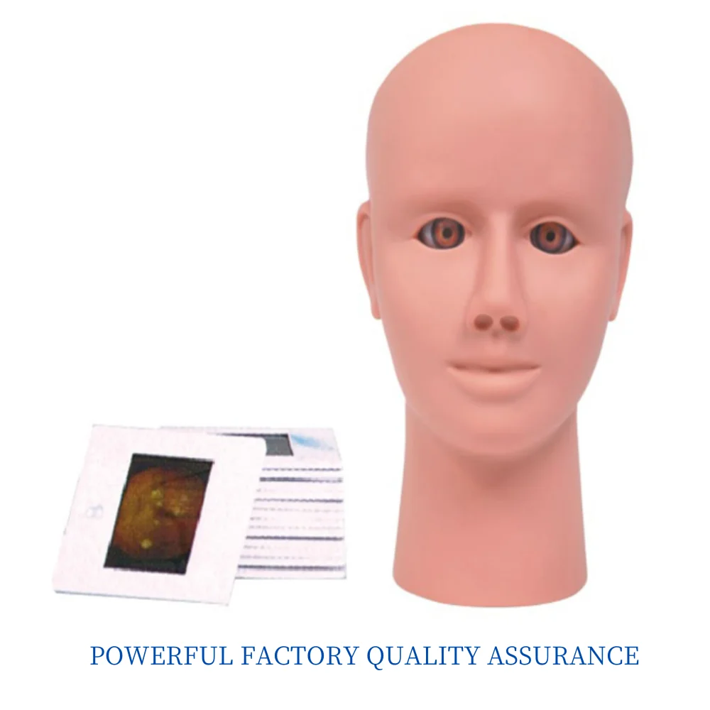 Advanced Intraocular Retinopathy Examination Model Medical Science Human Eye Diseases Simulator Educational Supplies Teaching Ma