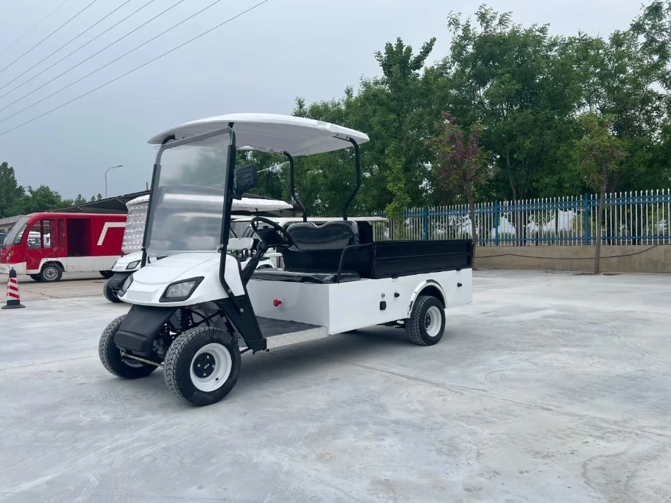 شاحنة عربة جولف كهربائية بمقعدين مع دلاء شحن 48 فولت 60 فولت 5 كيلو وات محرك فولاذي متوافق مع سيارة النادي
