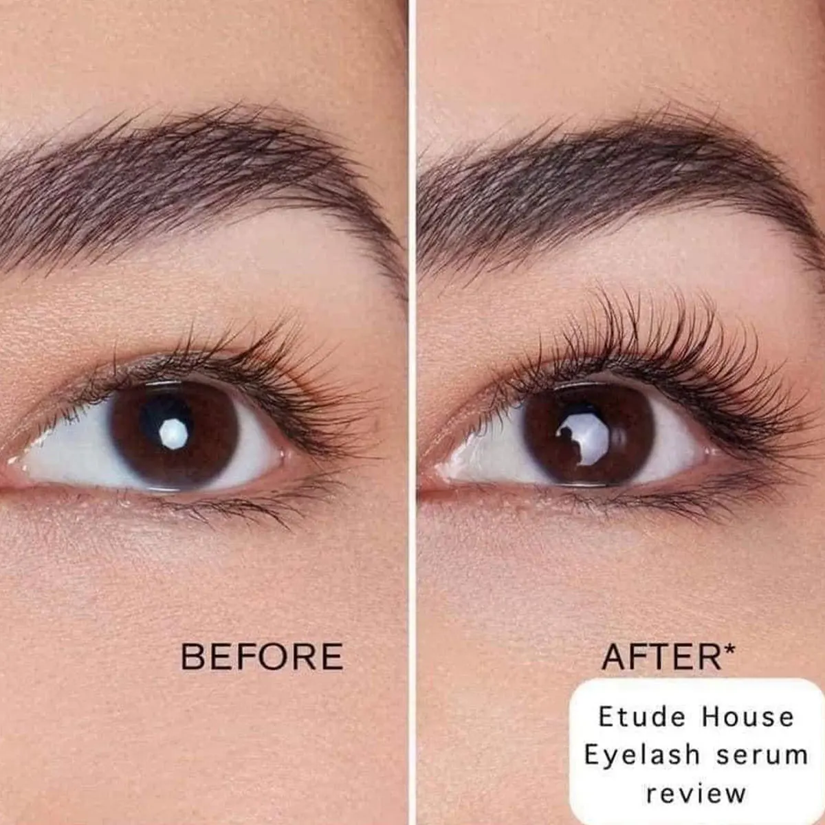 مصل ETUDE My Lash، مغذي وتقوية الرموش، لطيف وغير مزعج، العناية بالرموش الطبيعية، محمول، K-Beauty، مكياج كوري #2