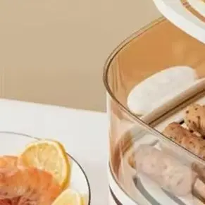 Electric Steamer Ho…