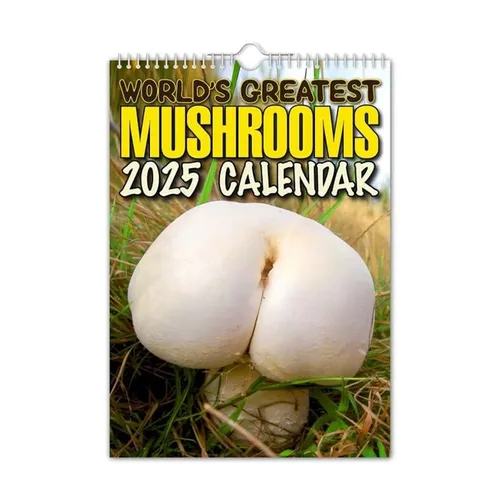 창의적인 버섯 그림 책상 달력, 재미있는 달력, 새해 달력 2025, 재미있는 트럼프 벽 달력 계획 