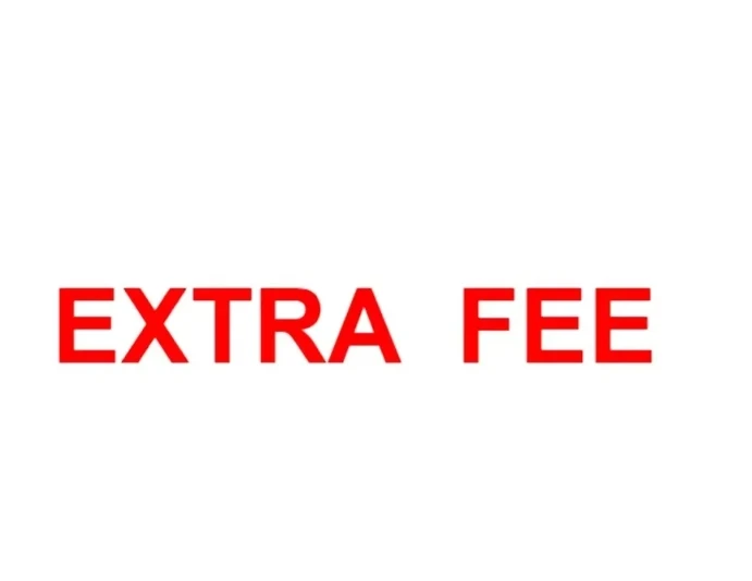 

Extra fee for guitar neck