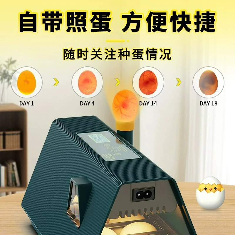 Fully automatic intelligent household children's multifunctional chick, duck, and goose incubator, 12-egg incubator