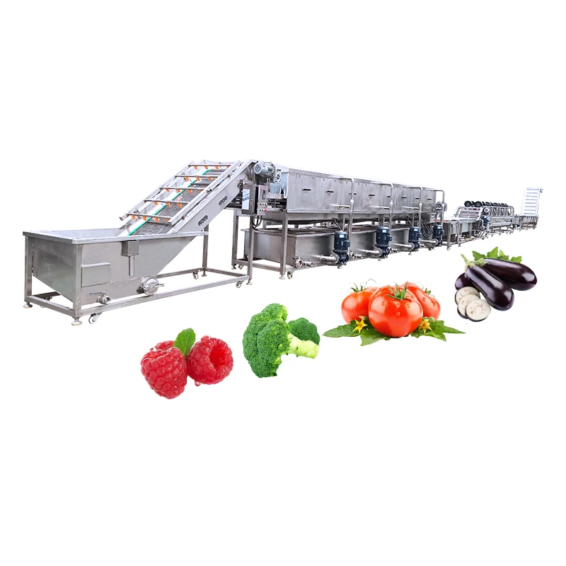 Factory Supply 500kg/h Fruit and Vegetable Processing Line Cleaning Drying Sorting Waxing Machine Citrus Fruit Washing Machine
