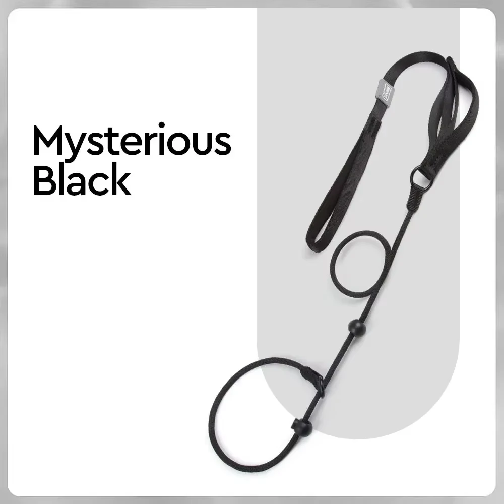 Nylon Slip Lead with Double Handle product image