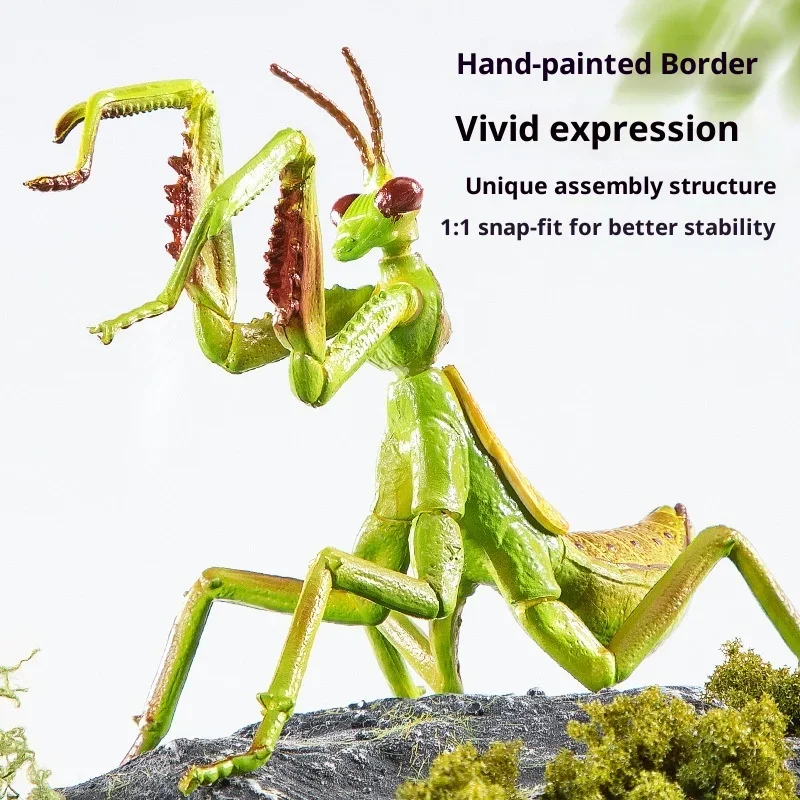 5–10 Jahre Kinder DIY 4D-Insektenmodellbausatz – Lernspielzeug für Jungen und Mädchen