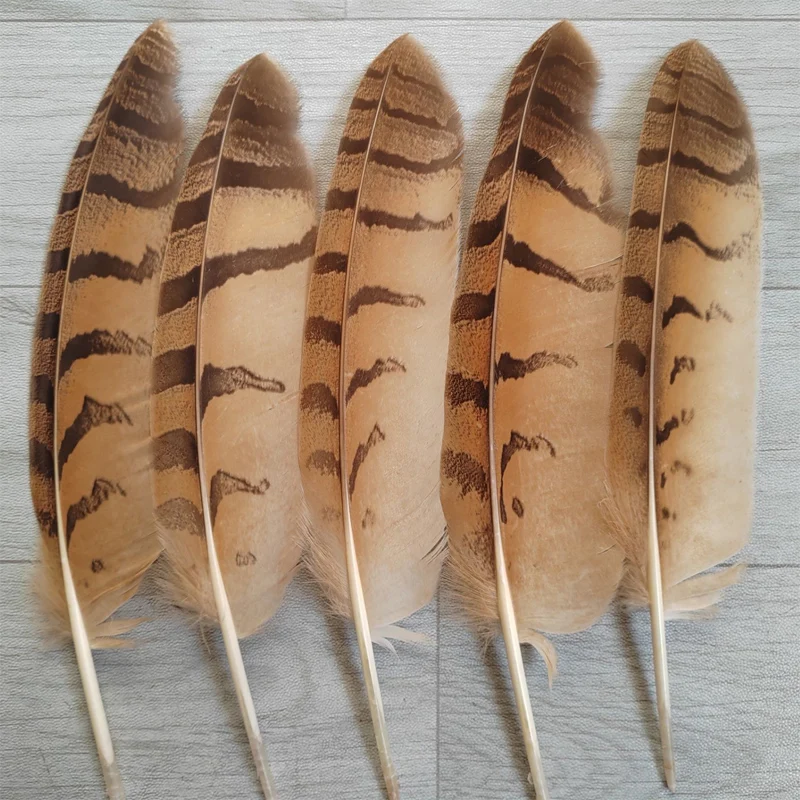 Wholesale 10PC Quality Owl Feathers,Owl Pointed Quill Feathers, 10-14 inches / 25-35 cm DIY clothing hat decoration
