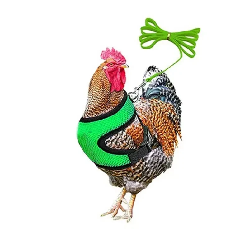 Chicken Traction Rope Vest Clothing Poultry Training Belt Pet Traction Belt Duck Goose Chest Strap Outdoor Walking Belt