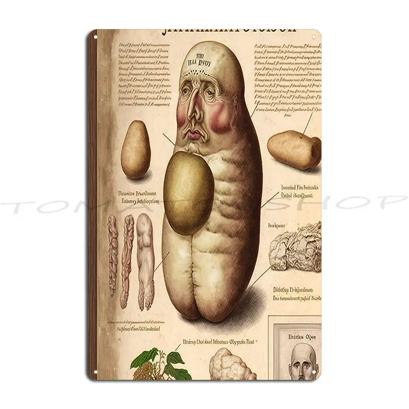 We Potatoes Weird Shaped Potatoes Anatomy of a good Metal Sign Kitchen Wall Decor Mural Club Character  Tin Sign Poster