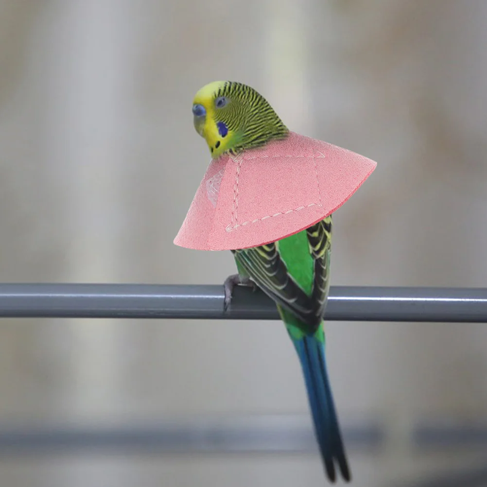 طوق مخروطي برقبة الطيور لدجاج الببغاء، حماية ضد التفتيت بعد الجراحة، شفاء مريح يسمح #5