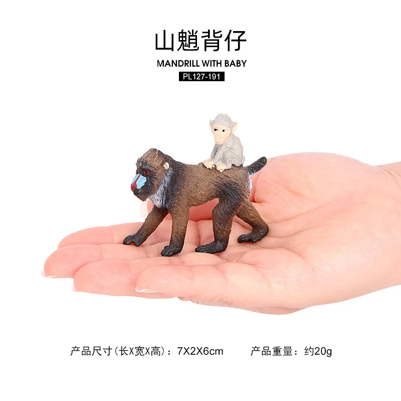نموذج محاكاة الحياة البرية للأطفال، لعبة حيوانات ماندريل شبح بابون، لعبة تنوير القرد، هدية معرفية