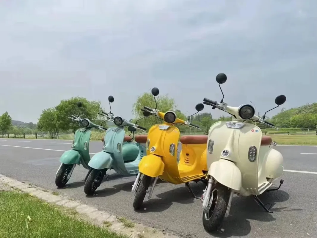 2025 New Style Daily Commuting Electrical Motorbike Scooter 1200W High Power City Electric Motorcycle Adult Electric Mopeds