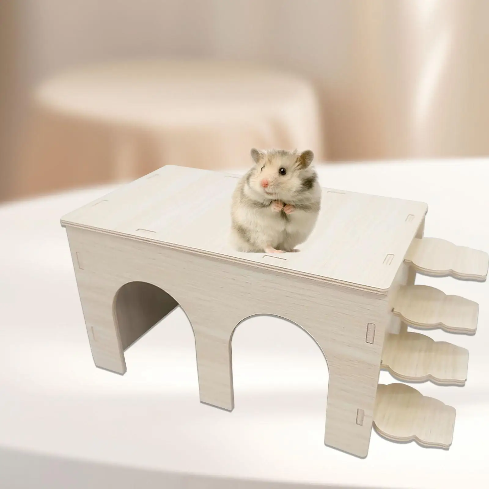 Hamster House Rest Easy to Assemble Habitat for Small Animals Mouse Hedgehog