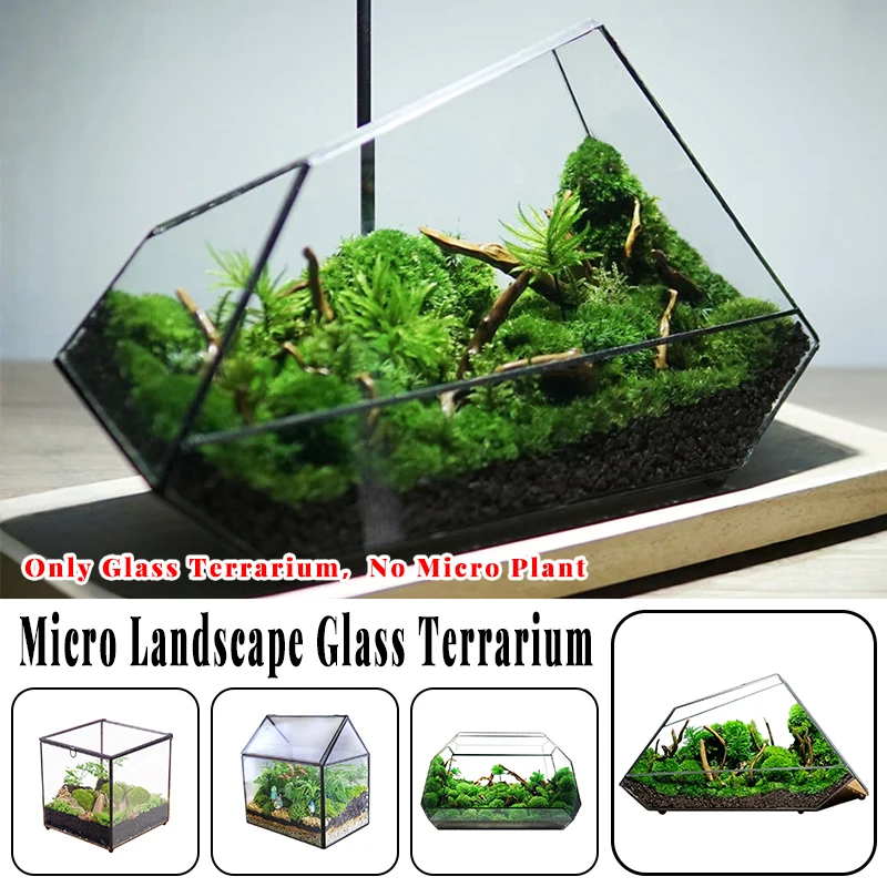 Micro Landscape Plant Terrariums Glass Greenhouse Rainforest Fern Moss Terrarium Ecological Geometric Vase Table Greenhouse New