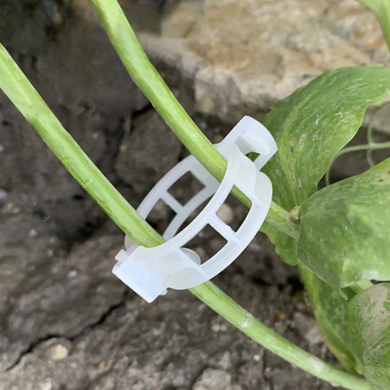 Clips de Plantes en Plastique, Supports de Connexion, Protection Réutilisable, Greffage FiosphTool, Fournitures de user inage pour Légumes et Tomates, 20 Pièces