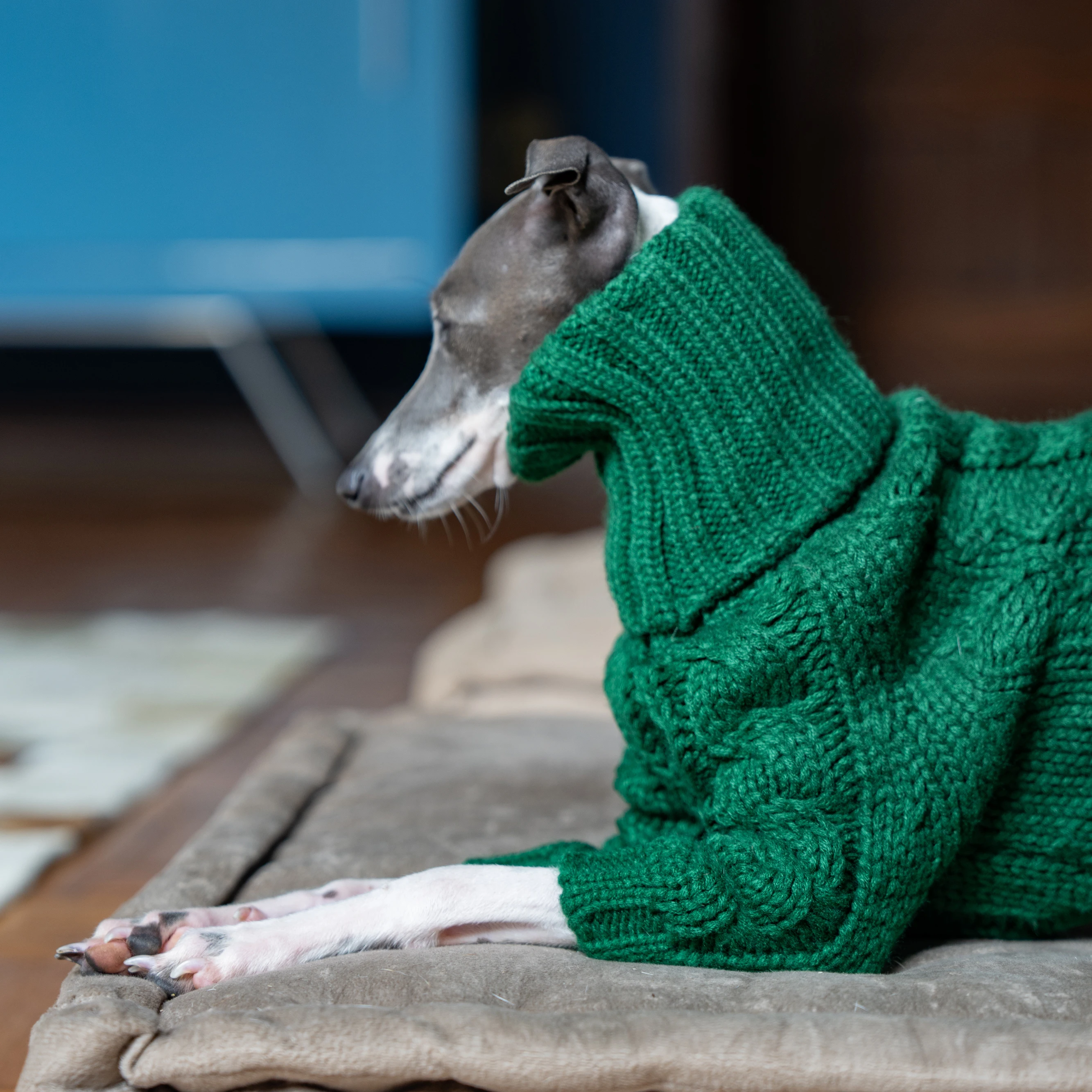 Yeşil balıkçı yaka kalınlaşmış pet kazak İtalyan greyhound whippet iki bacaklı örme köpek giysileri