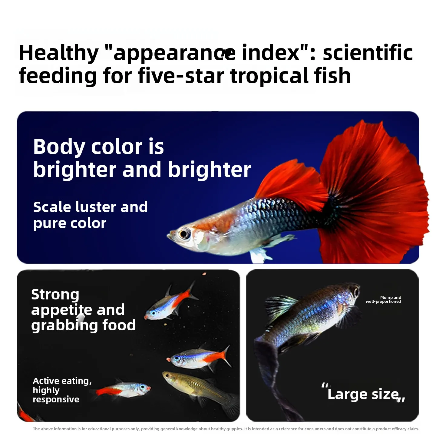 SANKii Floating Micro Pellets for Guppy Fry, Specially Formulated Easy to Digest Food for Baby Livebearers