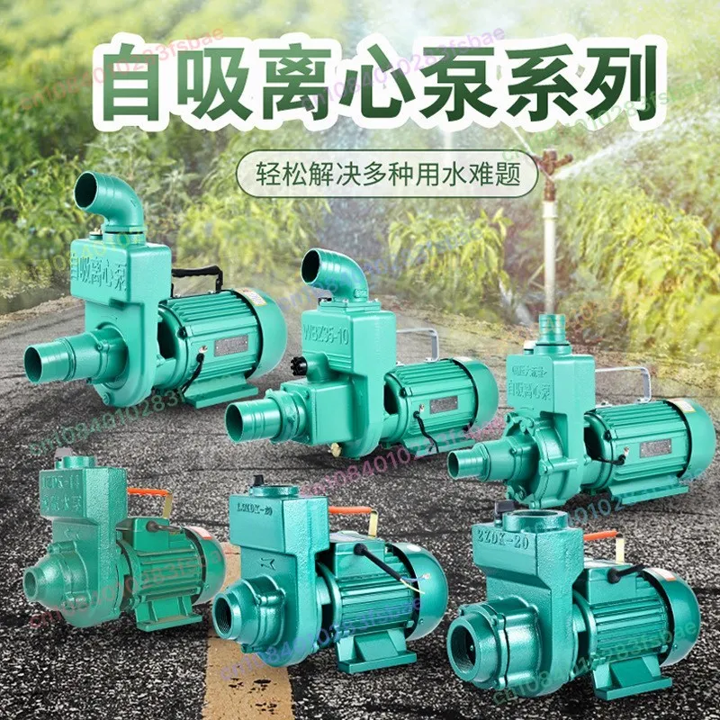 

Центробежный насос, водяной насос, большой расход, 1 дюйм, 2 дюйма, 3 дюйма, бытовой септик, 220 В, самовсасывающий насос для сточных вод