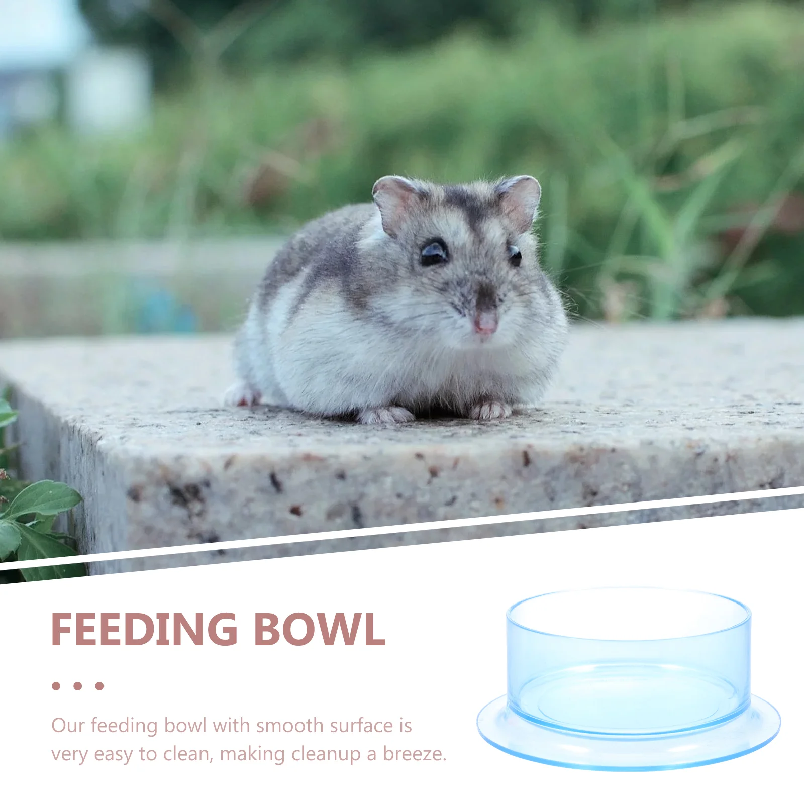 2 Pcs Hamster Food Bowl Rabbit Container Reptile Pet Holder Water Crawl Stable Small Multi-function Plastic Rat Dispenser