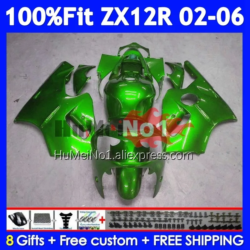 OEM Kit For KAWASAKI NINJA ZX-12R ALL Green ZX 12R 1200 226No.57 ZX12R 02 03 04 05 06 ZX1200 2002 2003 2004 2005 2006 Fairing