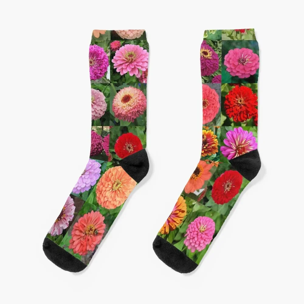 

Zinnia Socks hip hop summer snow Crossfit Luxury Woman Socks Men's